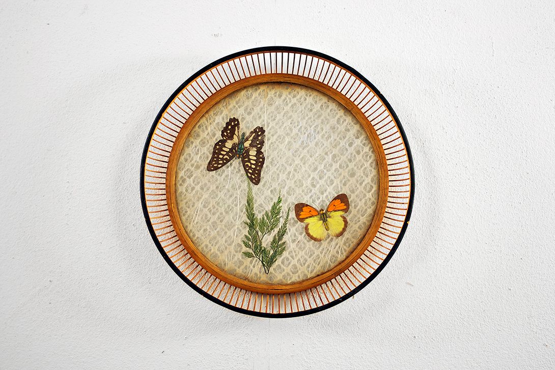 Foto Breakfast Bread and Buns Bowl, Lovely Butterfly Decoration