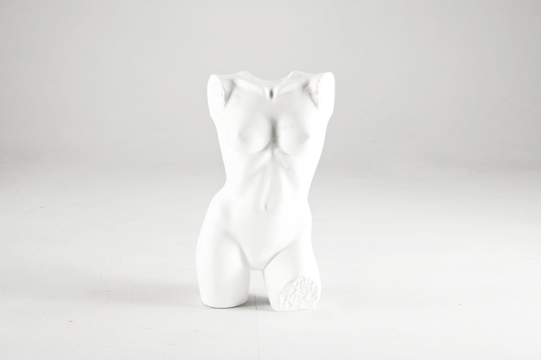 Foto Female Mannequin Torso White