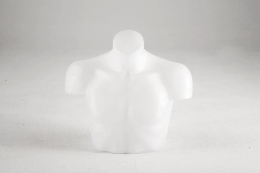 Foto White Male Mannequin Bust
