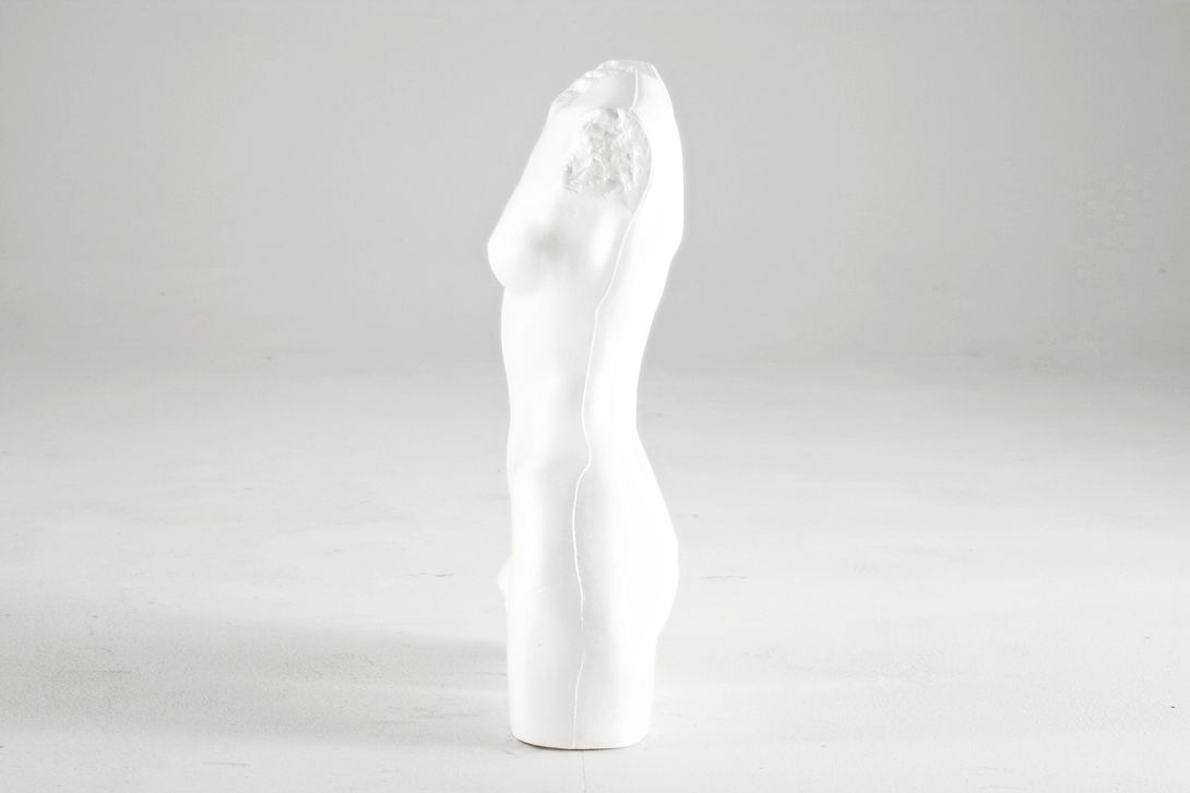 Foto White Female Torso