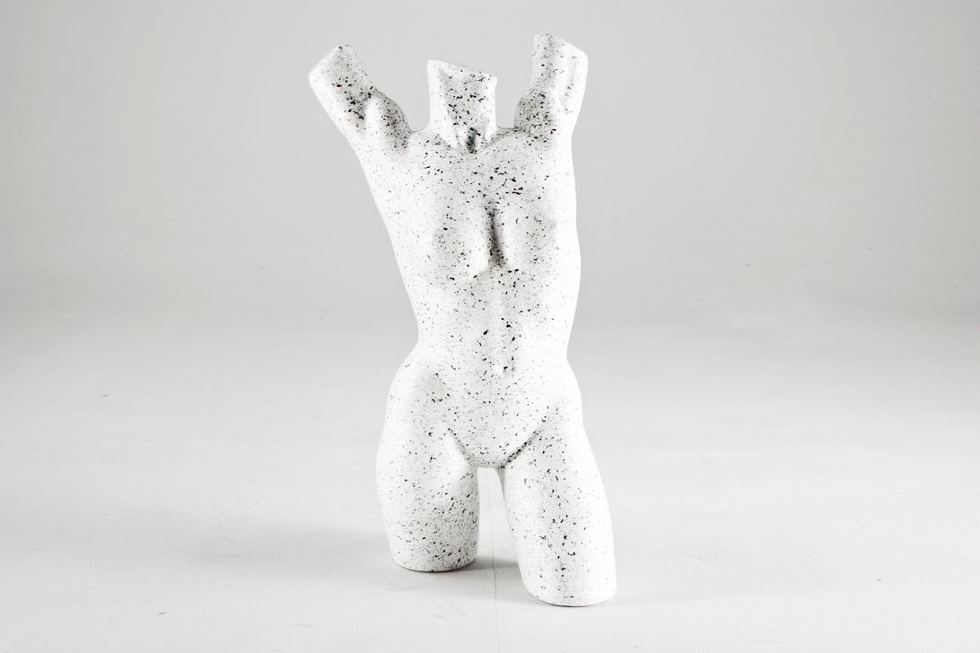 Foto Grey Female Styrofoam Mannequin Torso