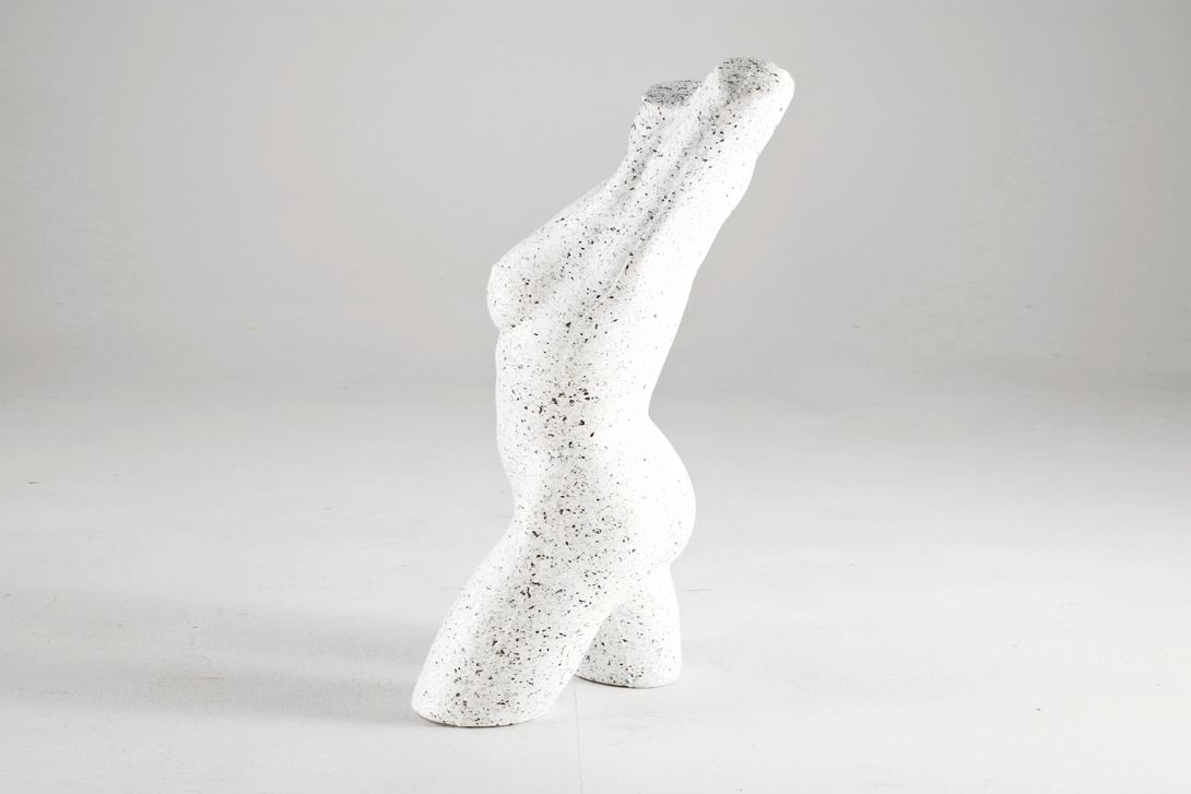 Foto Grey Female Styrofoam Mannequin Torso