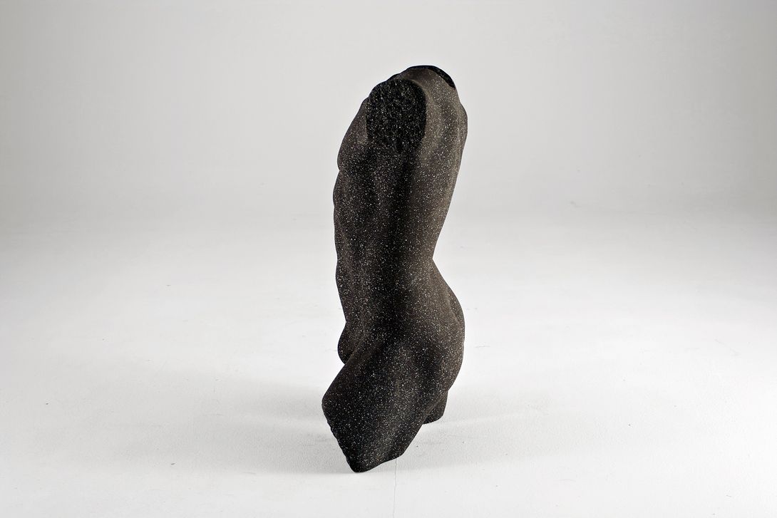 Foto Black Male Styrofoam Mannequin Torso