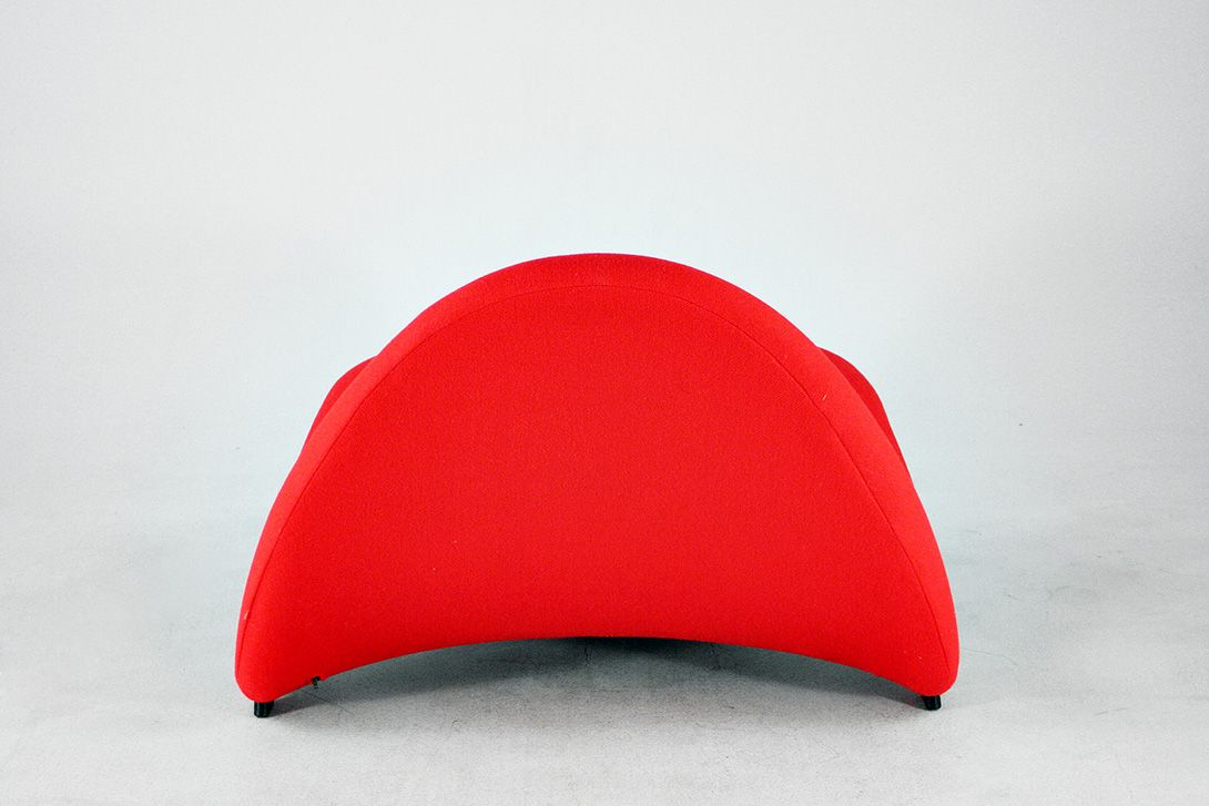 Foto Artifort Chair Tongue