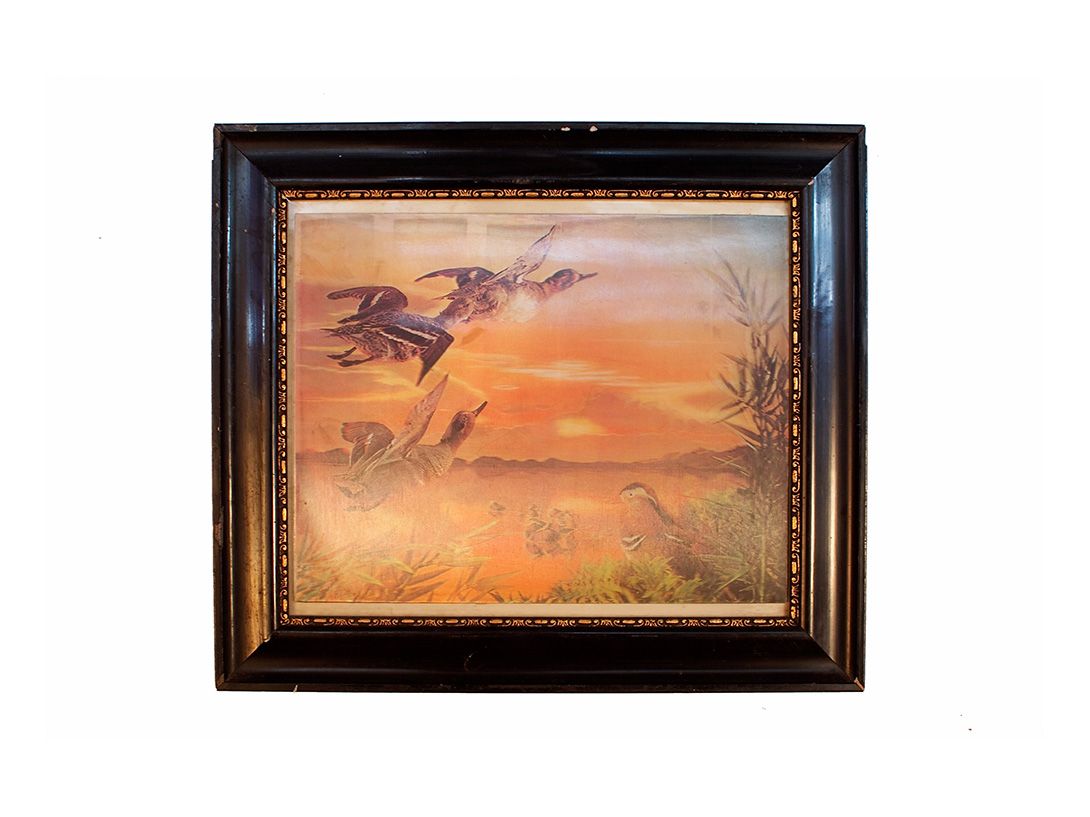 Foto Holography Landscape Birds 1990 h38x45 24D4