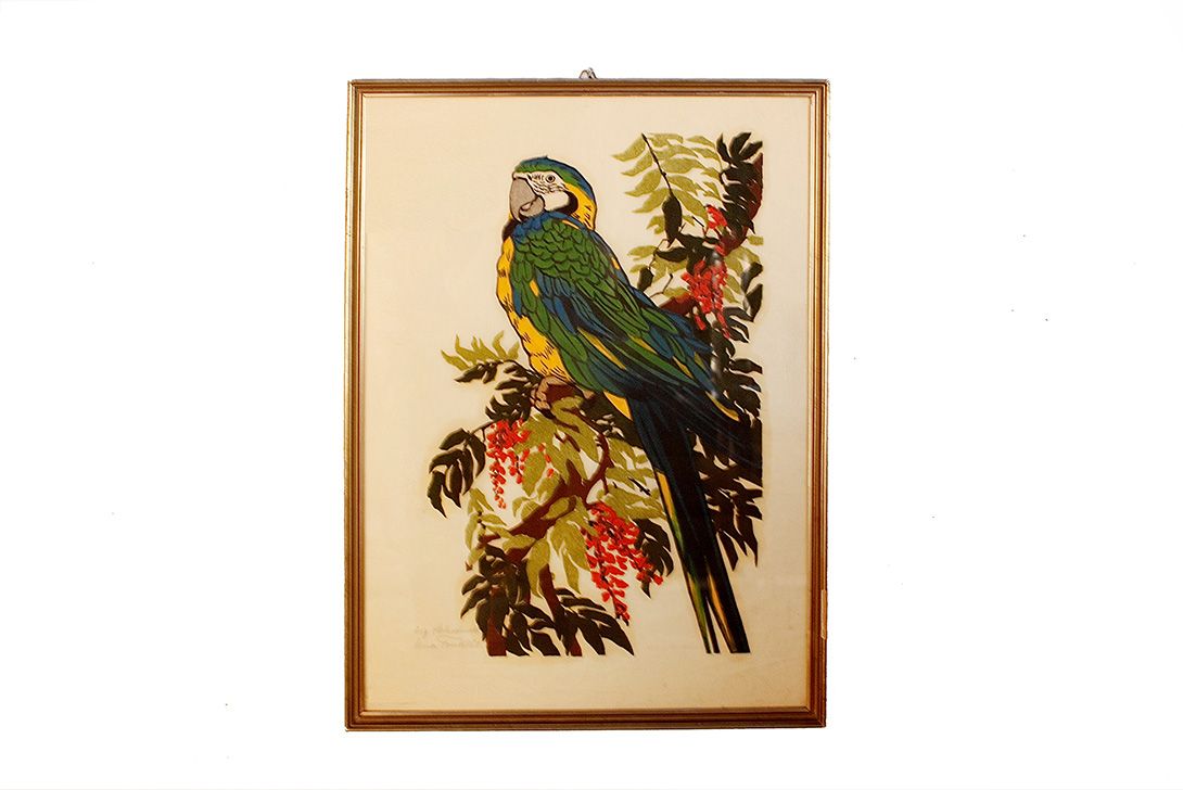 Foto Parrot Serigraphy 1958 h60x42 24D7