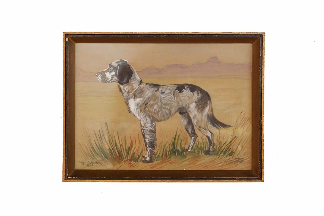 Foto Gouache Painting Hunting Dog Altic Sea 1910 h30x40 24C6