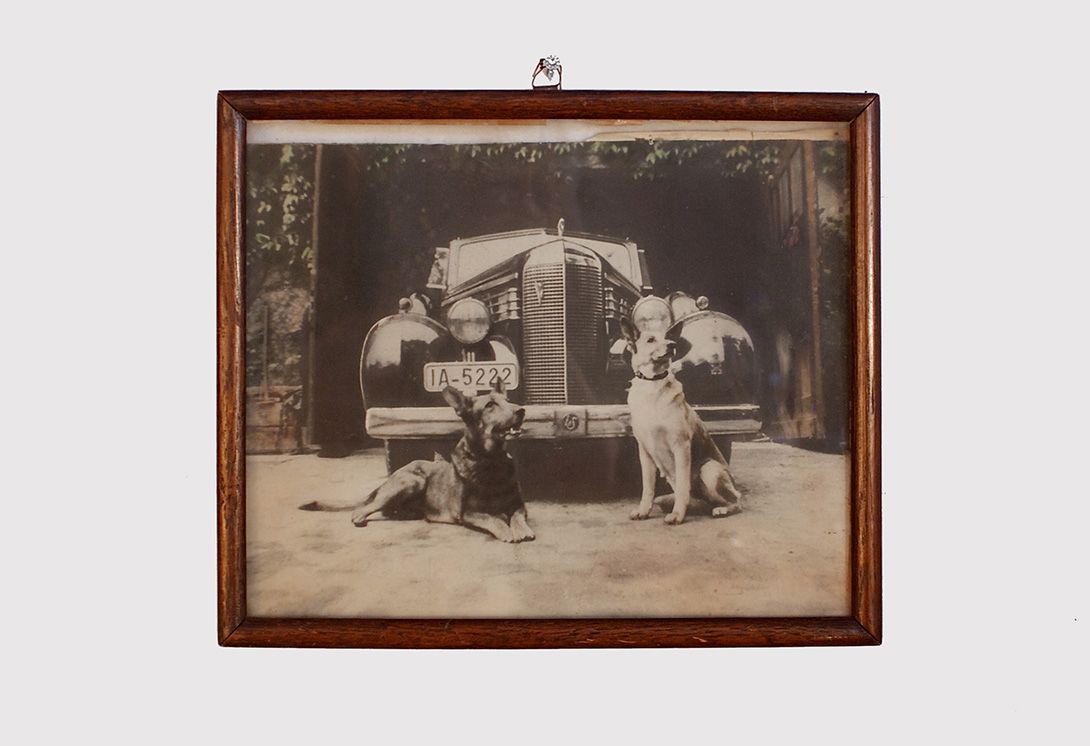 Foto Antique Photograph Car &#038; Dogs 27x32cm 15B20