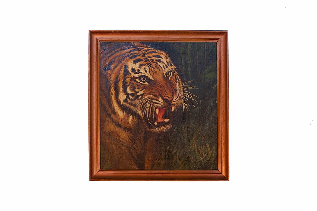 Foto Oil Painting Tiger 1965 24E10