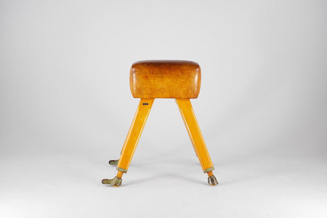 Foto Classic Vaulting Horse