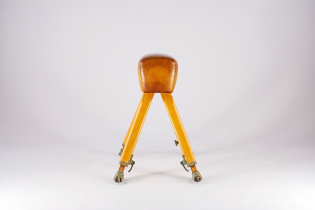 Foto Classic Vaulting Horse