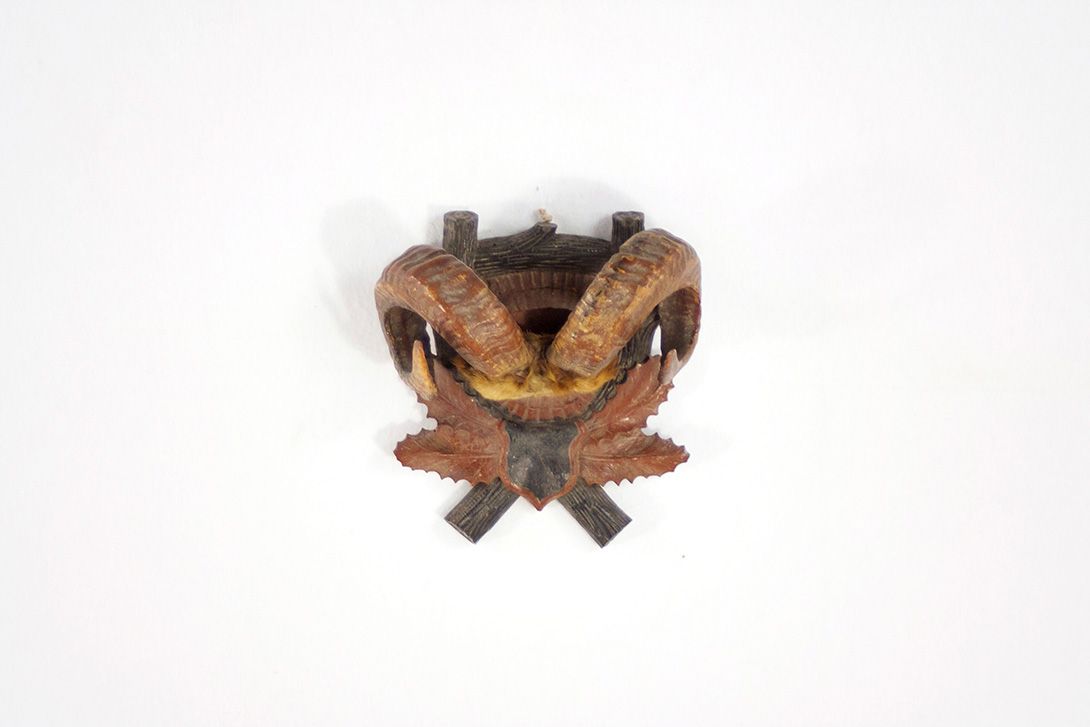 Foto Ram Horns