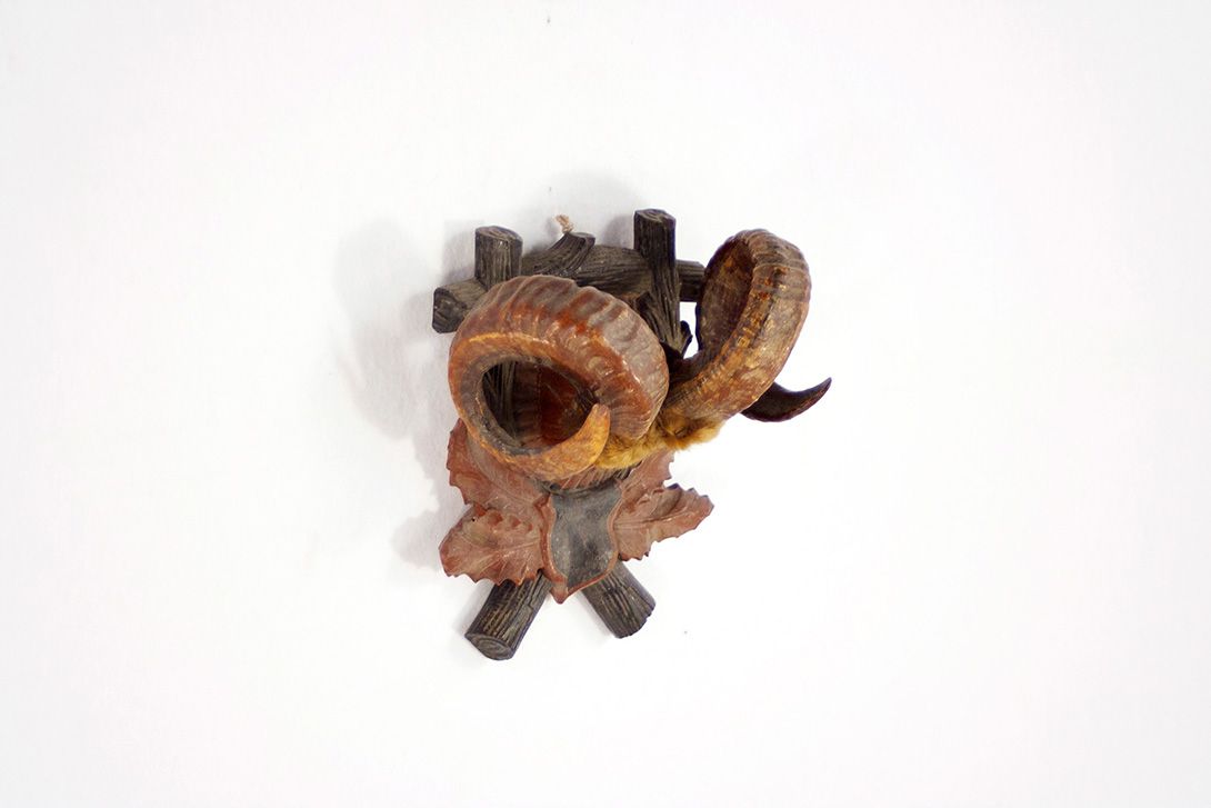 Foto Ram Horns