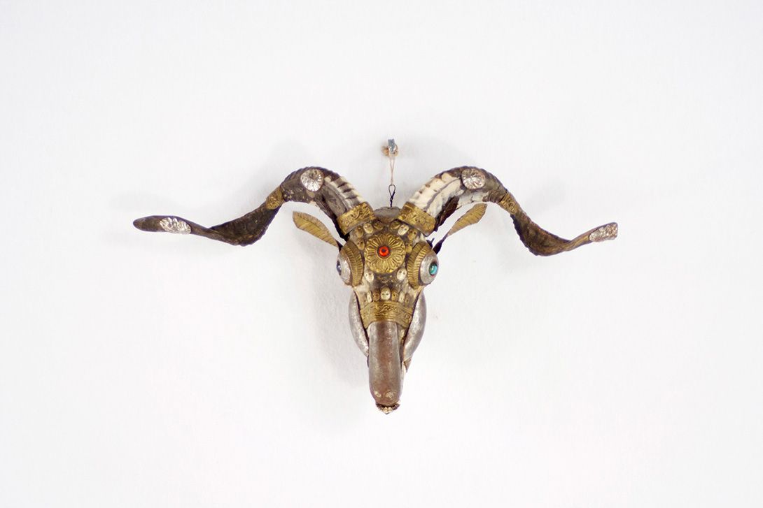 Foto Adorned Wild Goat Skull with Horns
