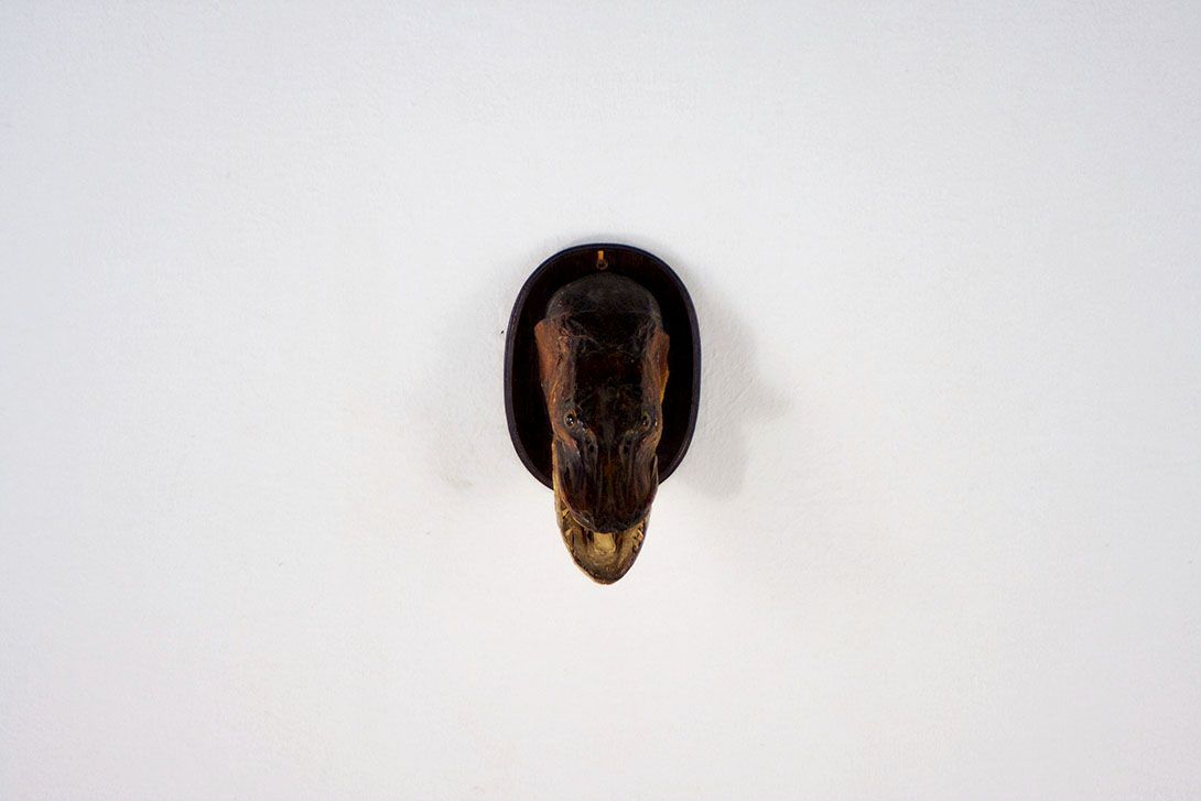 Foto Decorative Fish