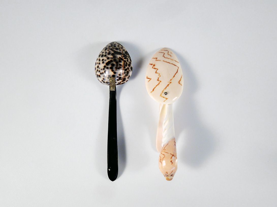 Foto Shell Spoons