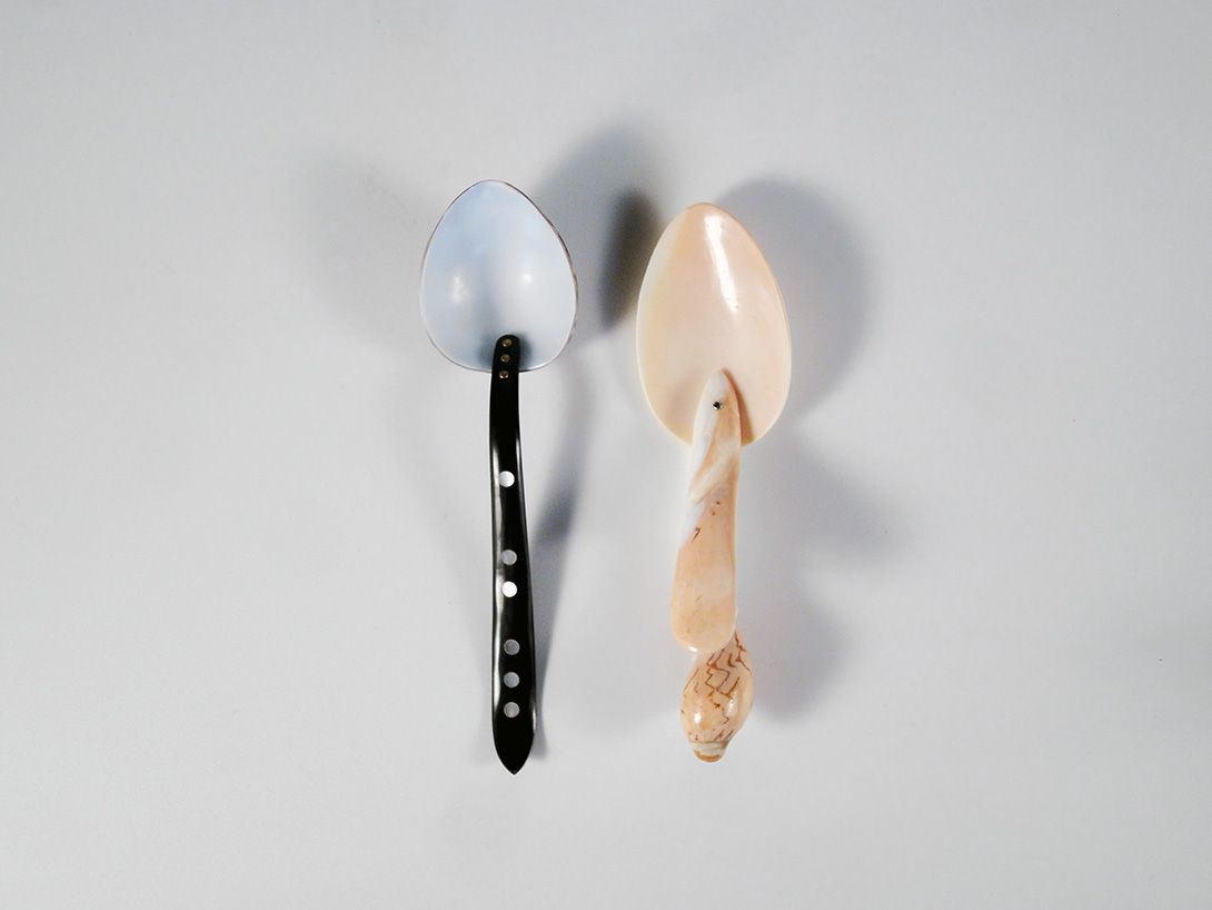 Foto Shell Spoons