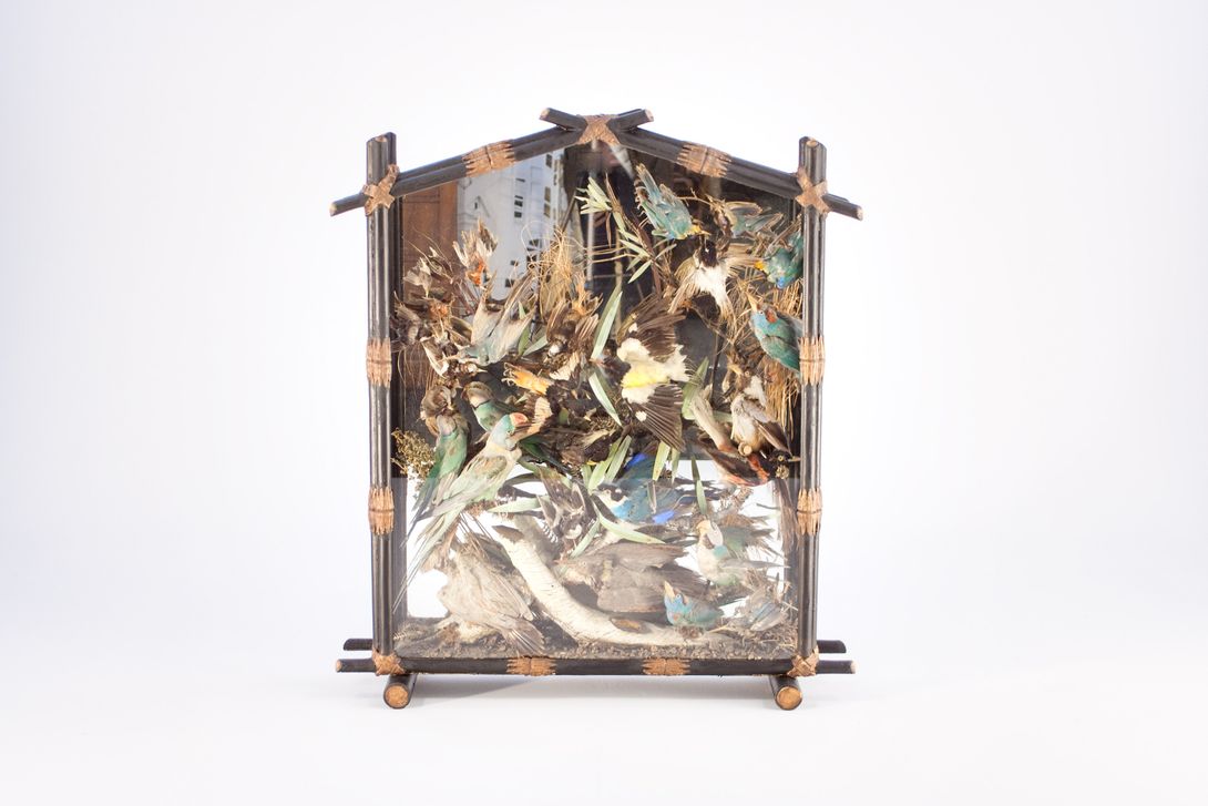Foto Panopticon Manifold Birds Wilhelminian Era