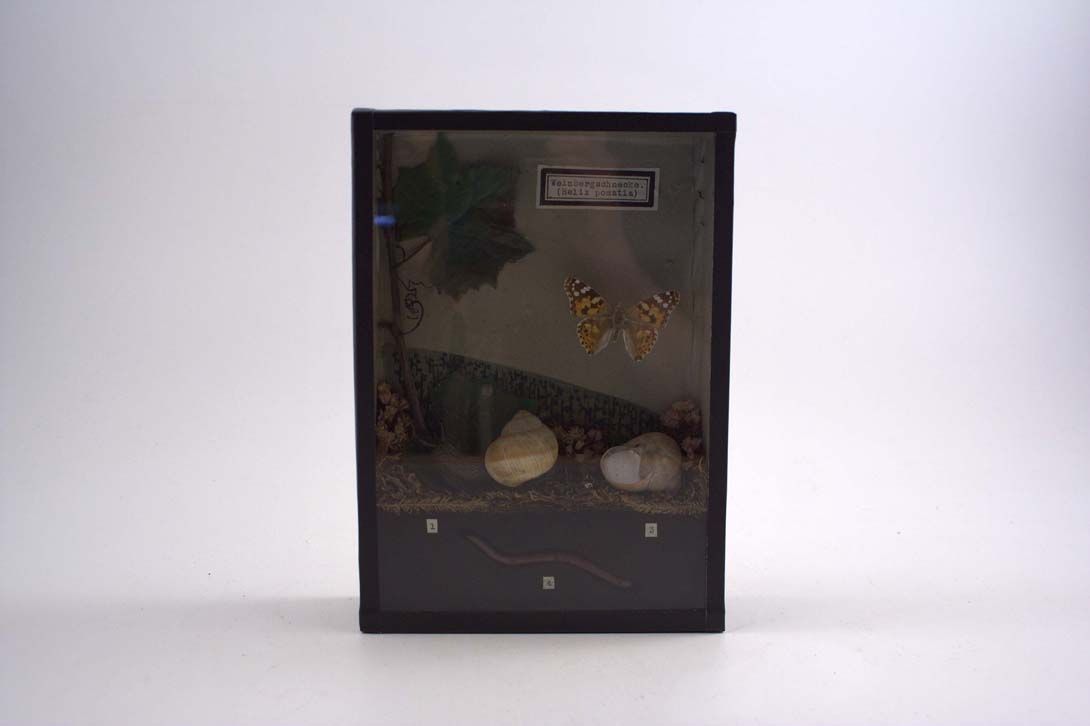 Foto Diorama- Life of an Escargot Weinbergschnecke 18A17