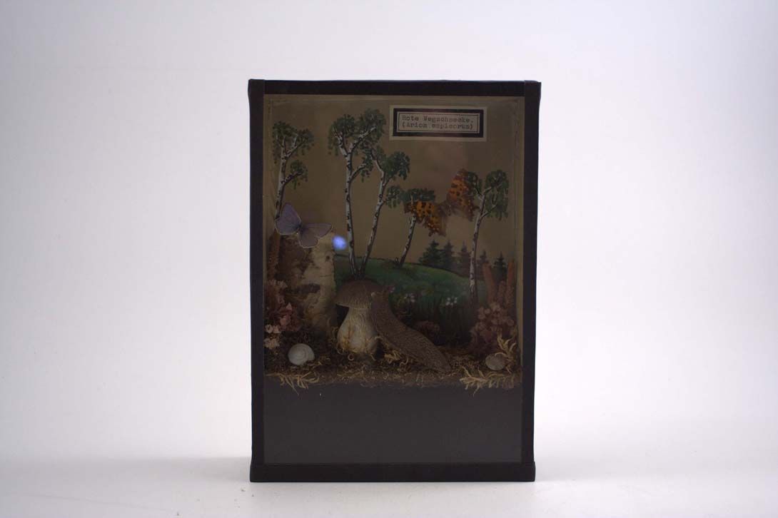 Foto Diorama Out in the Woods with Butterflies, Snail &#038; Mushrooms h24 18A0