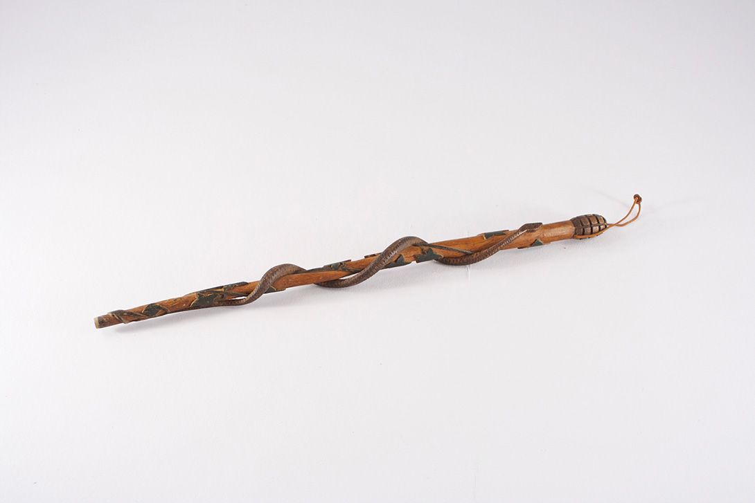 Foto Wooden Cane, Snake &#038; Leaves, Rod of Asklepios
