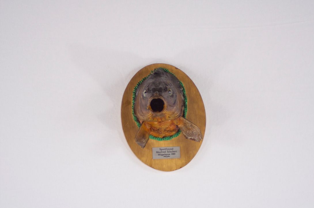 Foto Taxidermy Fish 1989