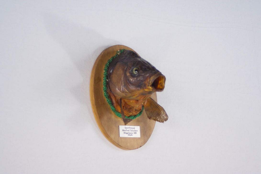 Foto Taxidermy Fish 1989