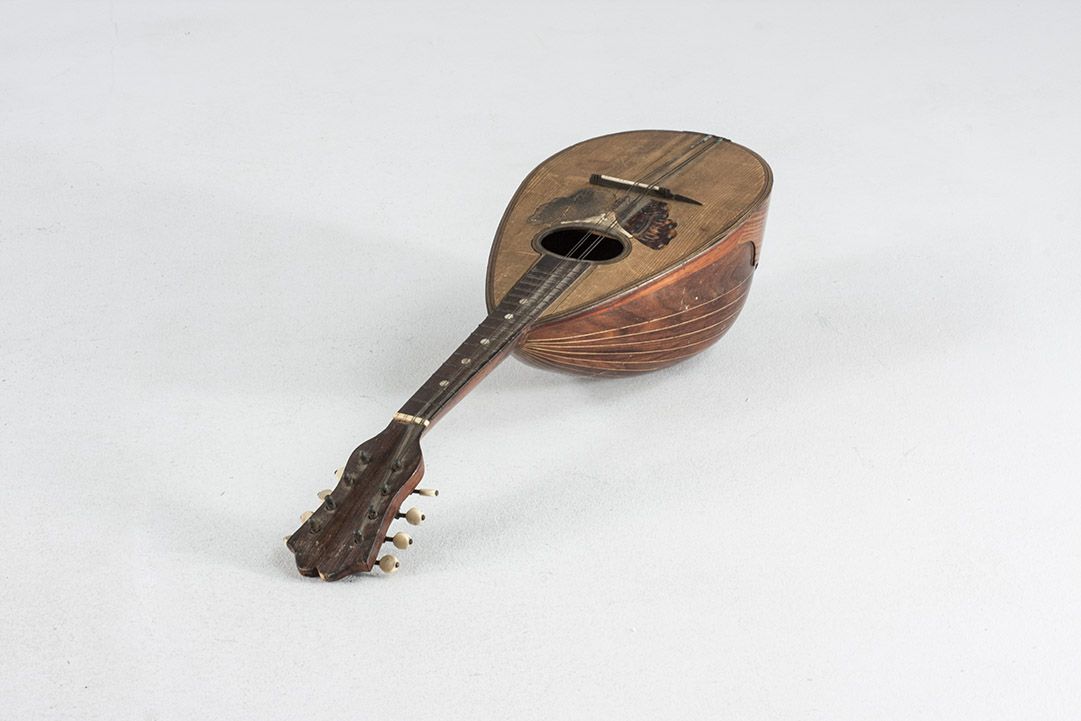 Foto Vintage Mandolin With Butterfly Print