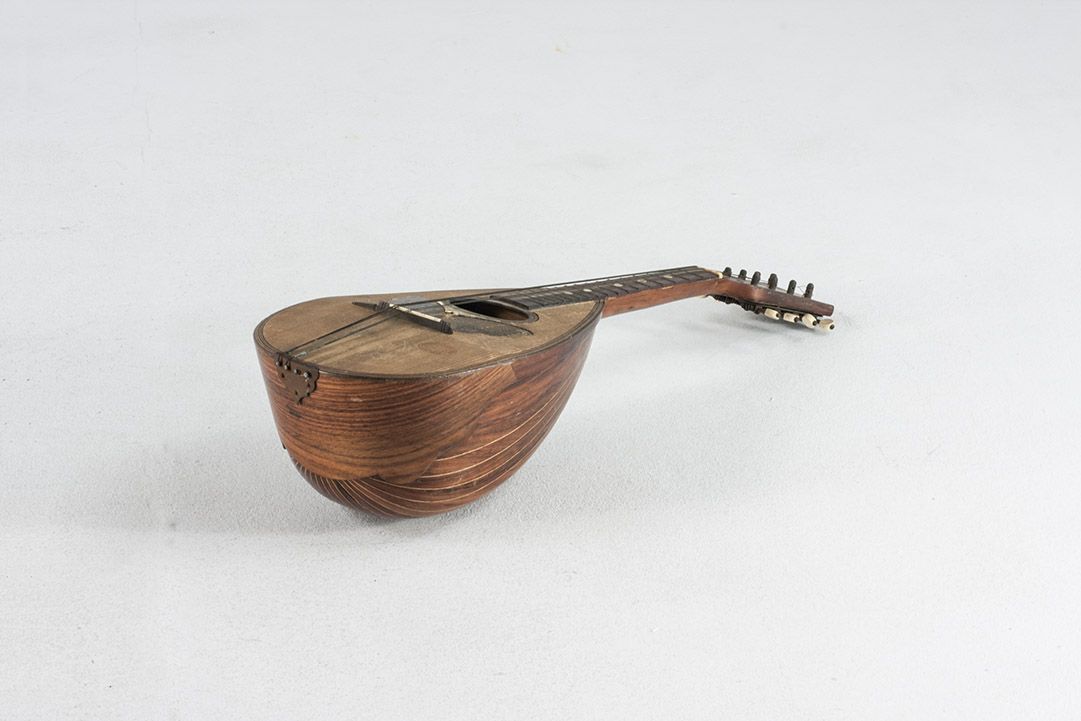Foto Vintage Mandolin With Butterfly Print