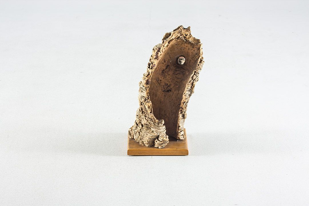 Foto Taxidermy Green Woodpecker