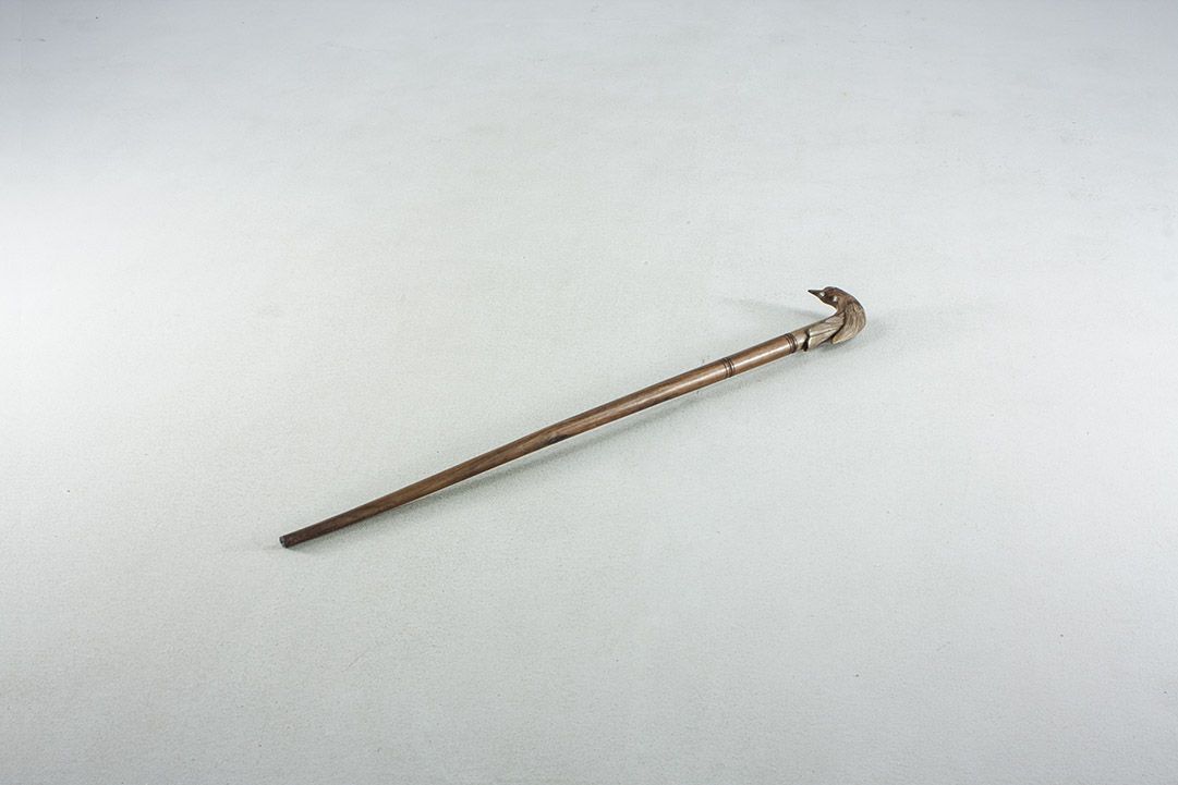 Foto Wood Cane with Carved Bird Handle