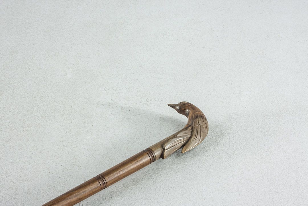 Foto Wood Cane with Carved Bird Handle