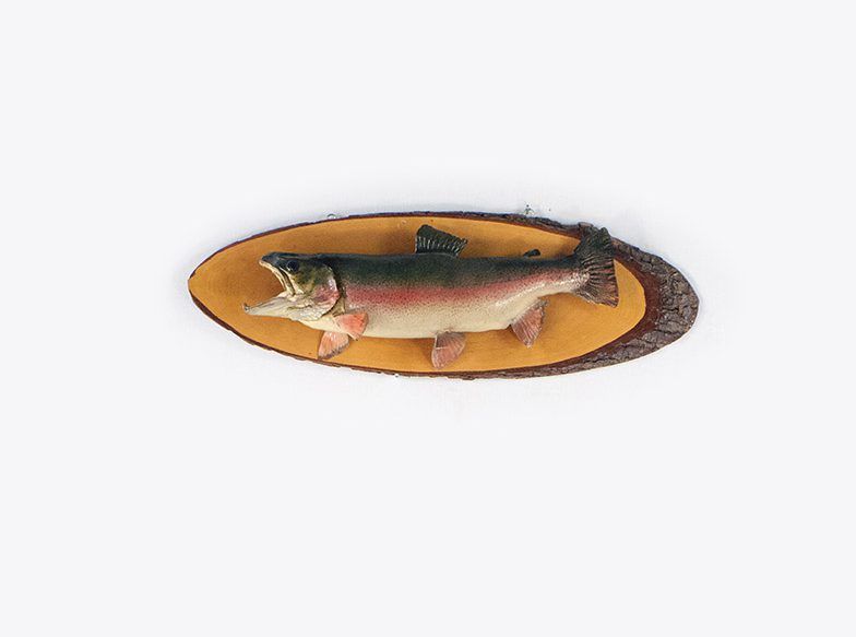 Foto Fish on Wood Frame