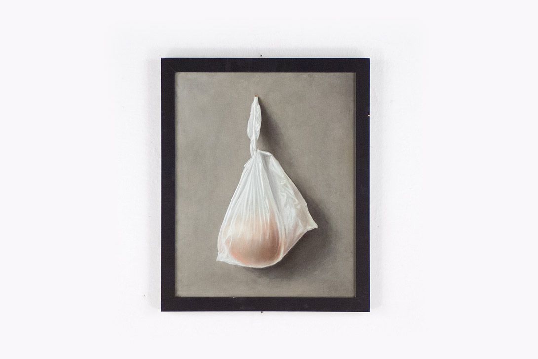 Foto Oil Painting 2013 Fruit Bag Orange 50 x 40 cm 11C17