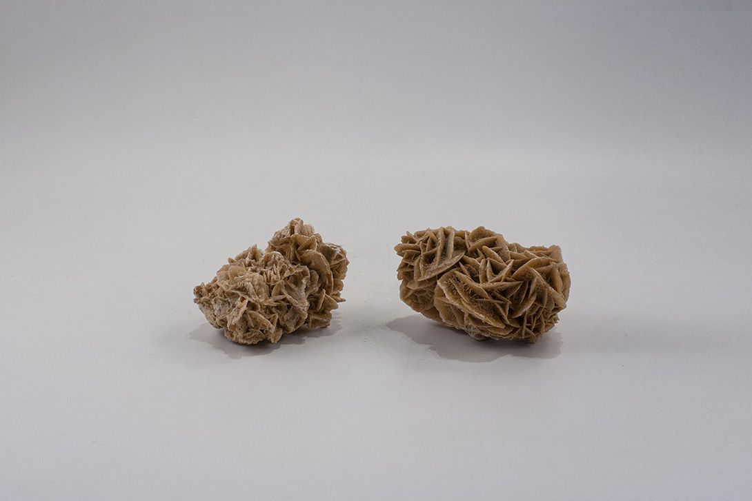 Foto Set of Two Desert Roses