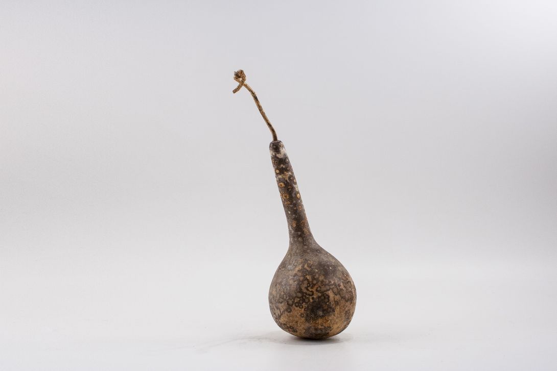 Foto Dried Pumpkin Rattle h40x16