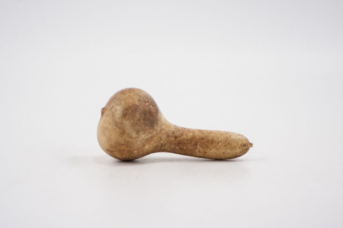 Foto Dried Pumpkin Rattle ​h30x12