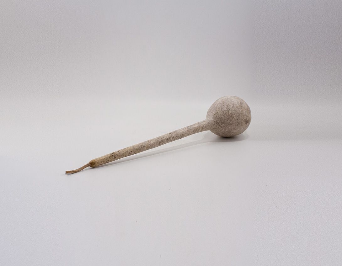 Foto Dried Pumpkin Rattle