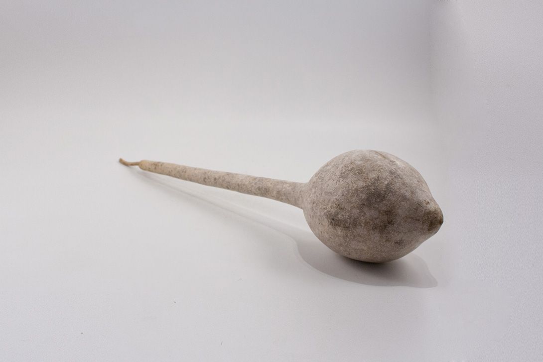 Foto Dried Pumpkin Rattle