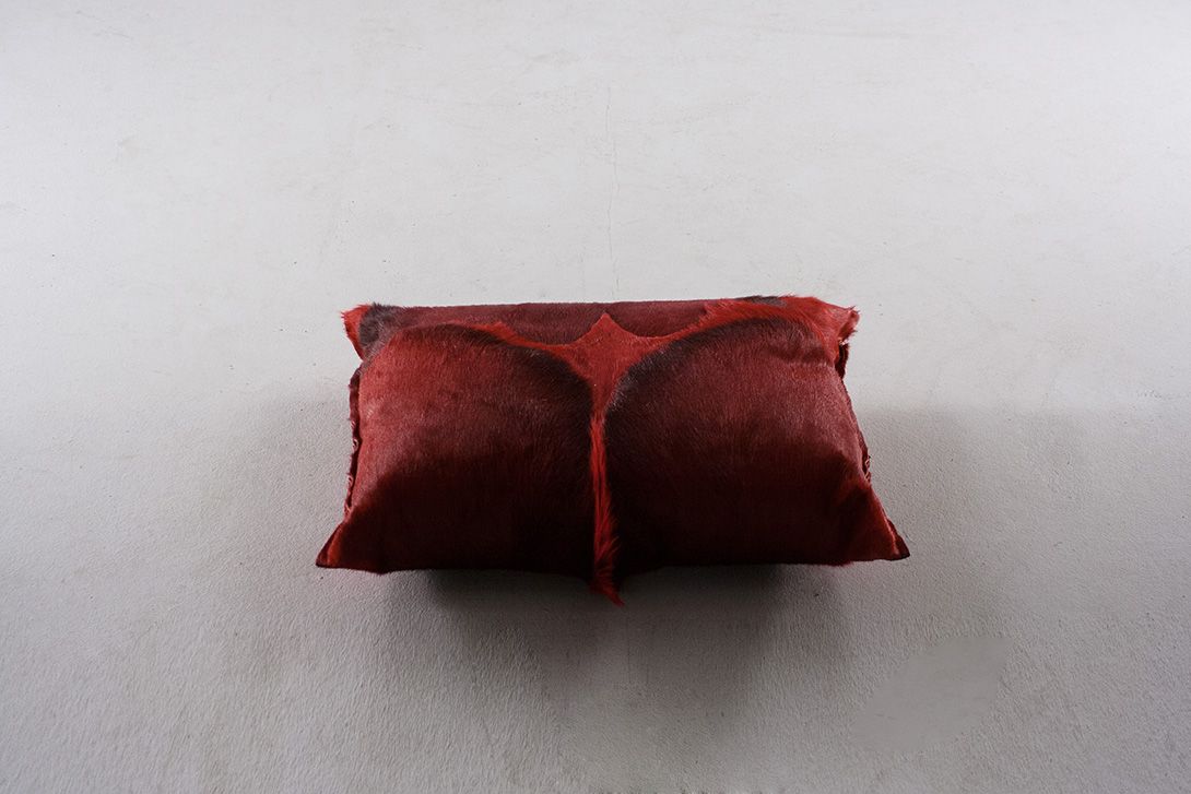 Foto Red Fur Pillow