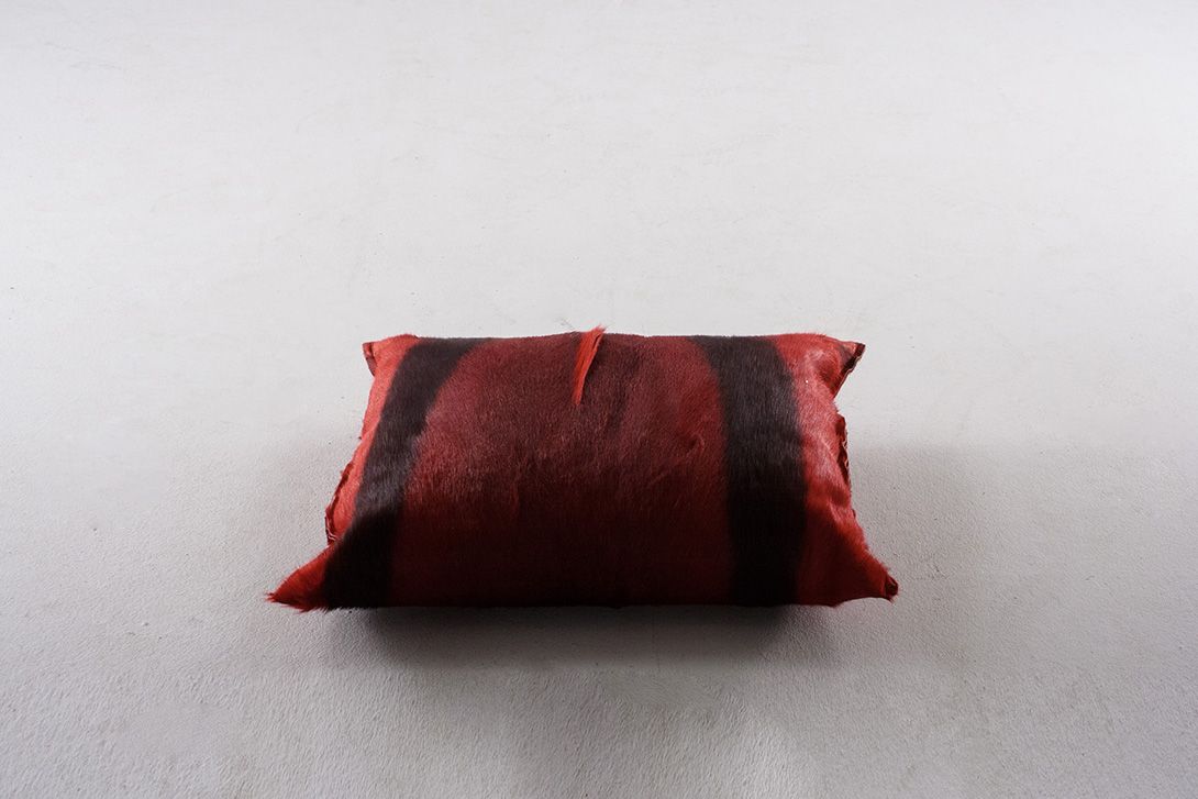 Foto Red Fur Pillow