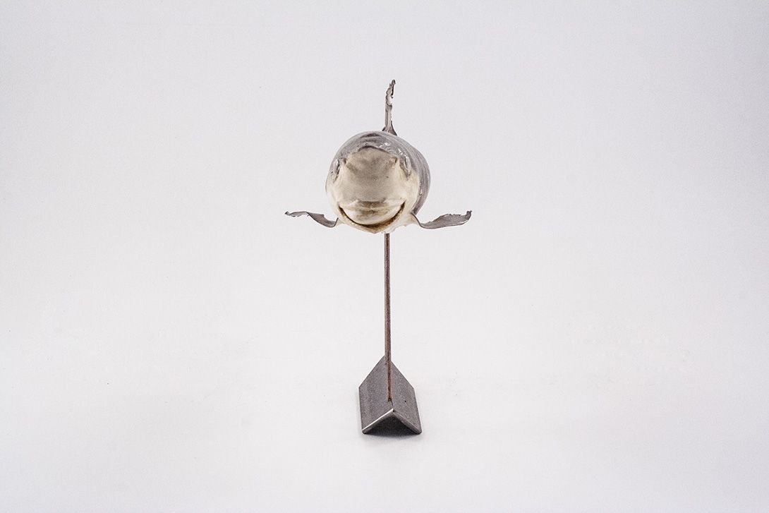 Foto Taxidermy Baby Shark on Stand