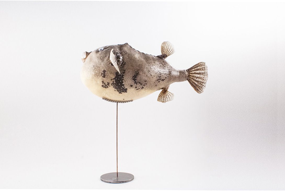 Foto Taxidermy Fish on Stand
