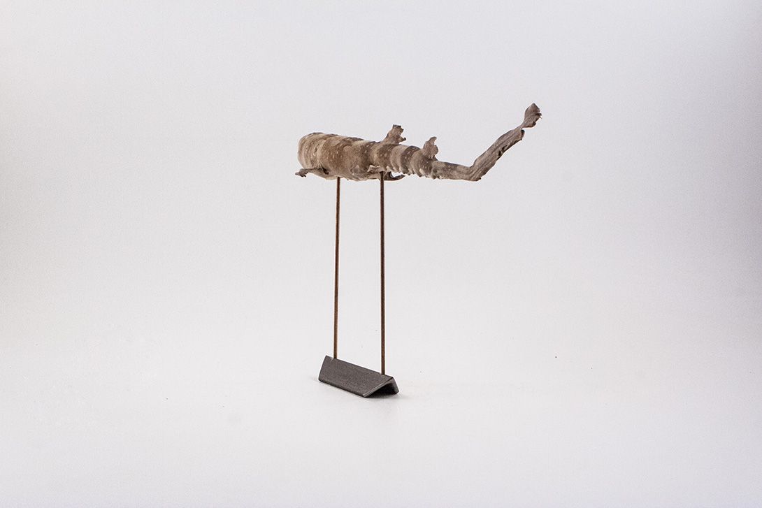 Foto Taxidermy Fish on Stand