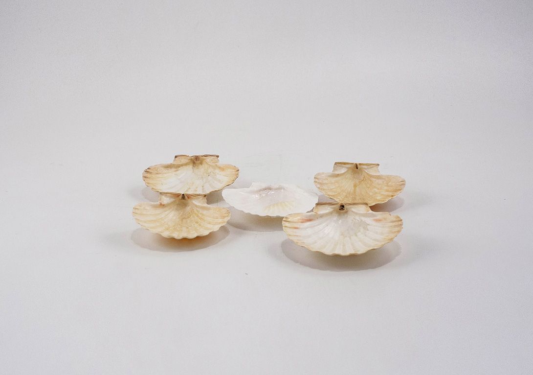 Foto Oysters Tableware
