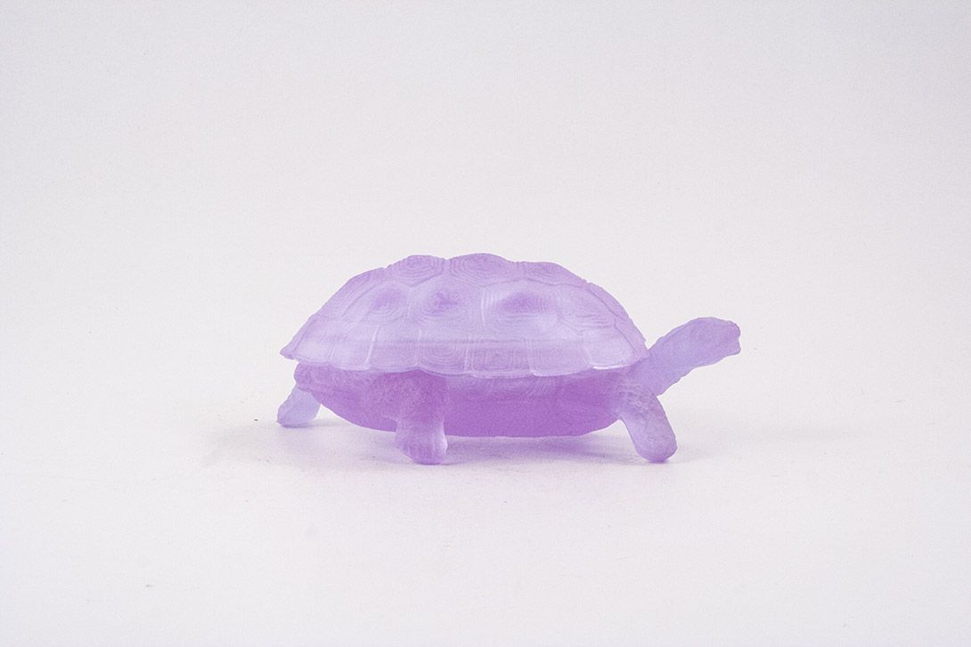 Foto Purple Turtle Soap Dish
