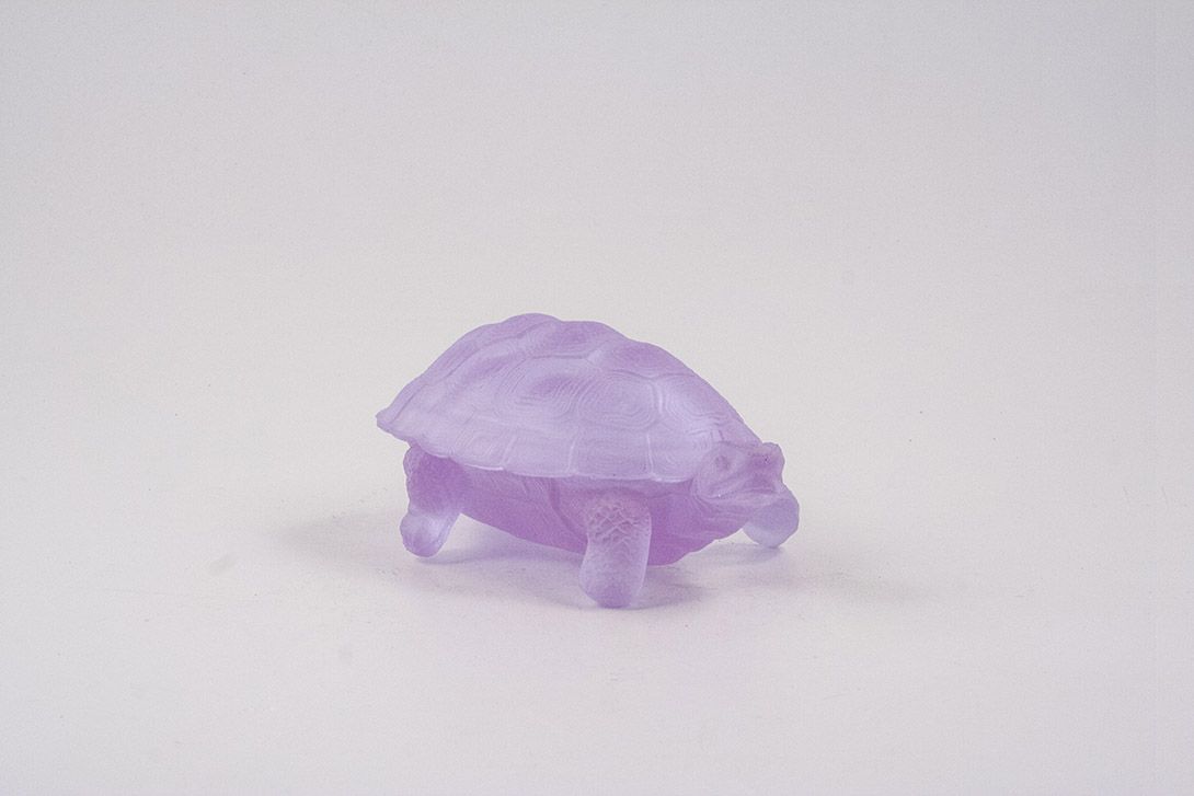 Foto Purple Turtle Soap Dish