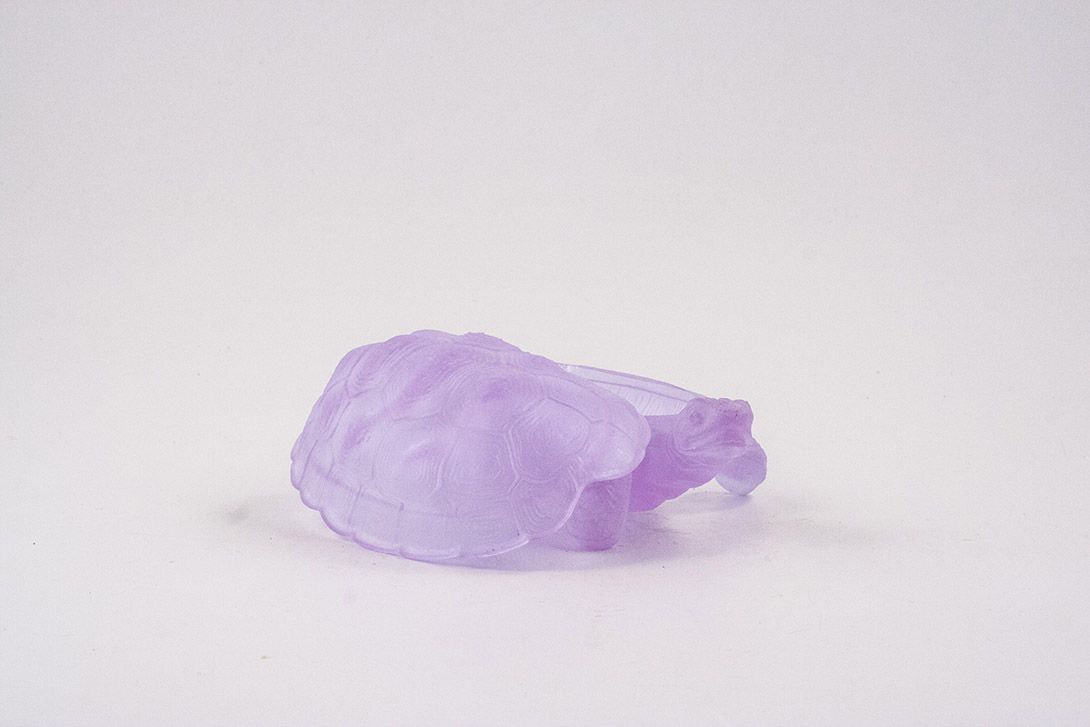 Foto Purple Turtle Soap Dish