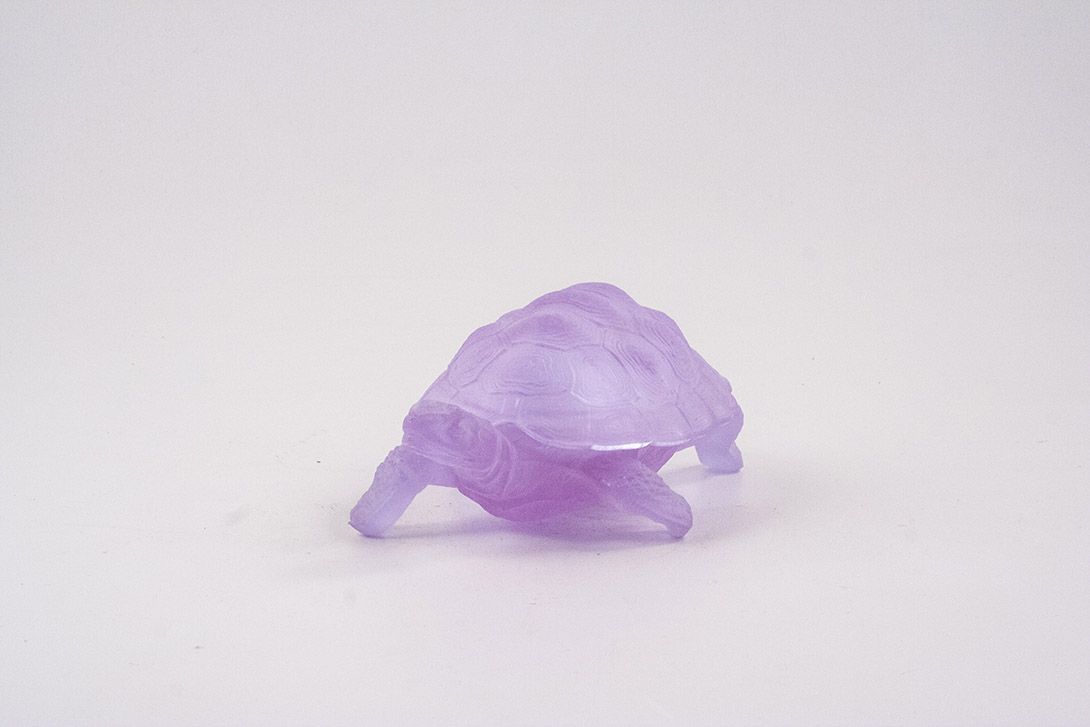 Foto Purple Turtle Soap Dish