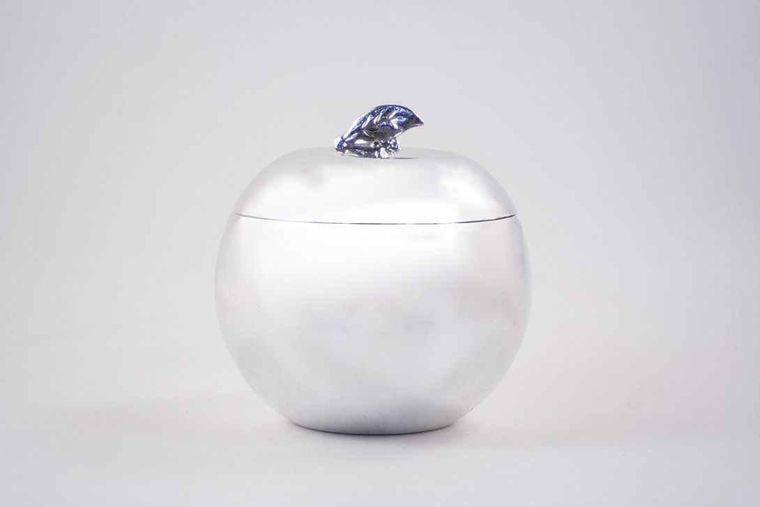 Foto Reflecting Apple Ice Cube Box h22x20